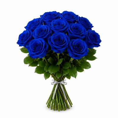 11 синих роз Кения 60 см с серебристой атласной лентой на белом фоне